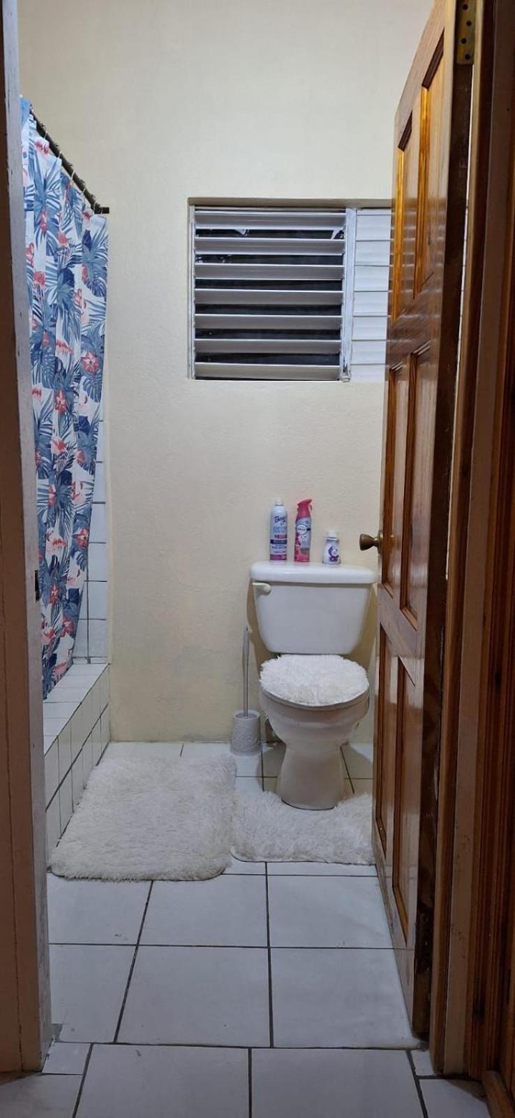 Sleeping Bueaty Gest House Hotel Soufriere Ngoại thất bức ảnh